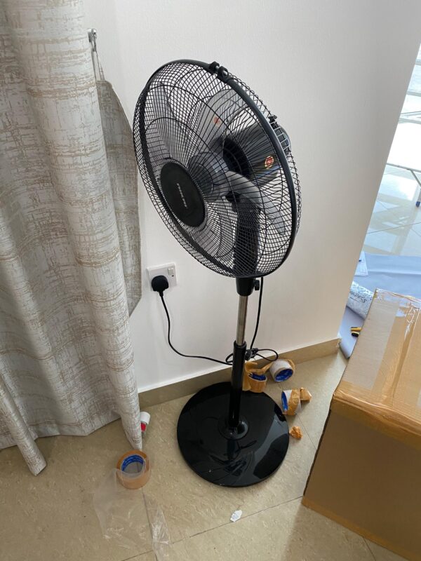 Fan Standing from Nikai