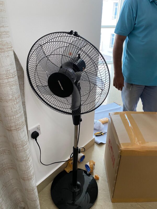 Fan Standing from Nikai - Image 2