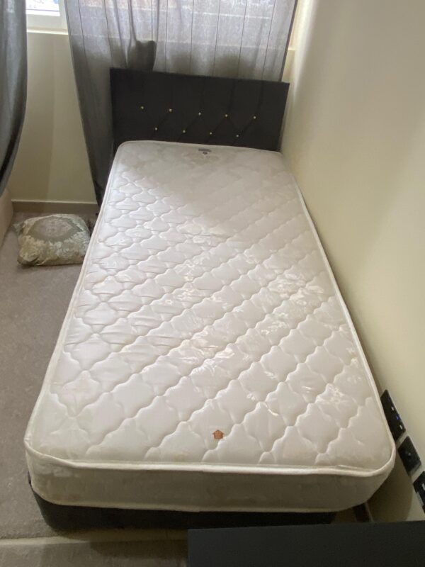 Single Bed with mattress from Danube